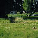 Korb aus Metall auf einer Wiese 