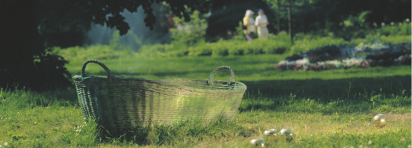 Korb mit goldenen Äpfeln auf Wiese im Park