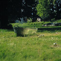 Korb aus Metall und goldene Äpfel auf einer Wiese, Menschen im Hintergrund